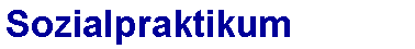 Sozialpraktikum