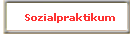 Sozialpraktikum